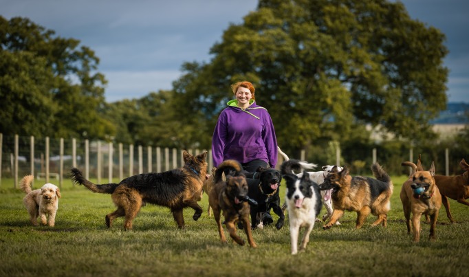 A Coleg Cambria student who studies animal care in a field surrounded by different breeds of dogs