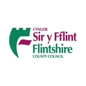 The Flintshire County Council Logo