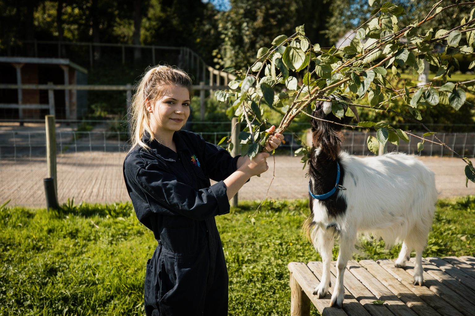 Animal Care & Management