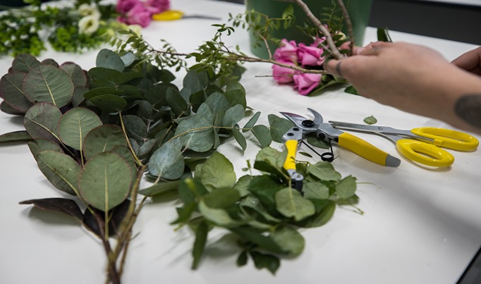 A close up of different green plants on the table with a pair of hands putting them together