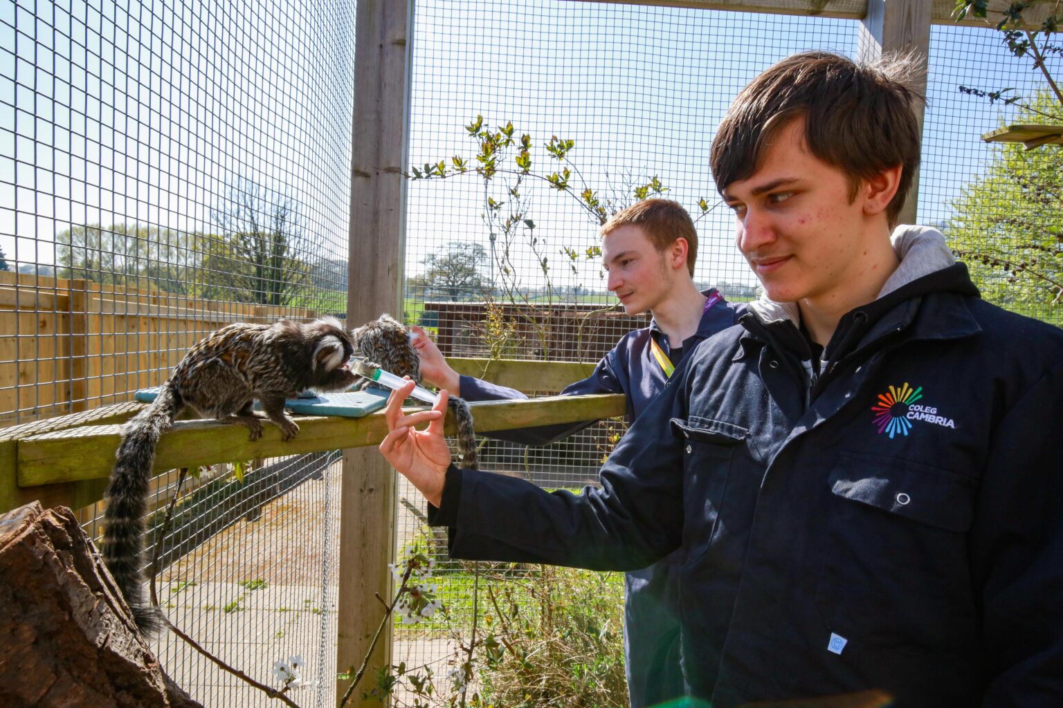 two learners feeding monkeys outside