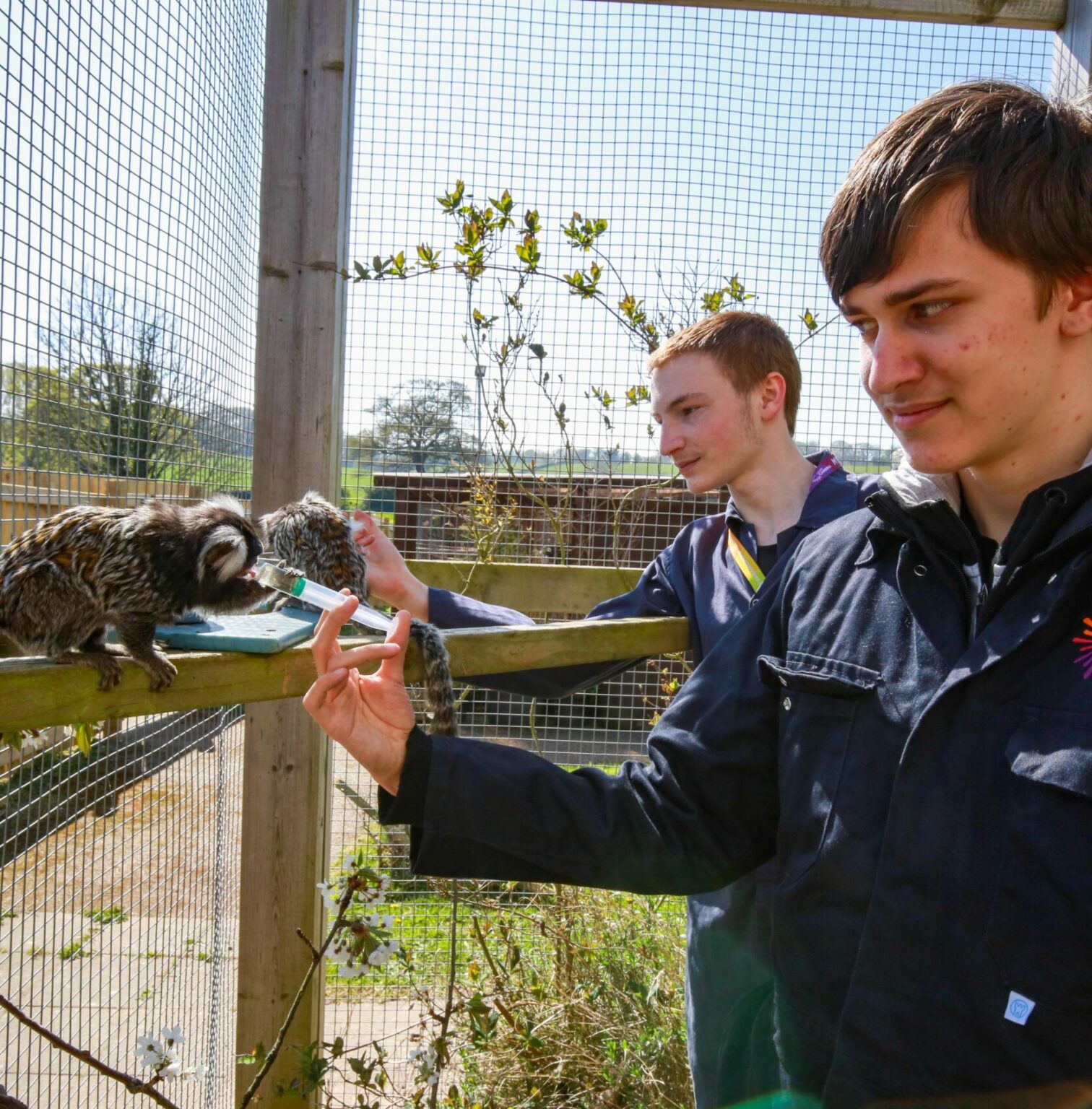two learners feeding monkeys outside